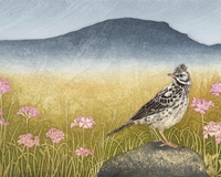 Hester Cox